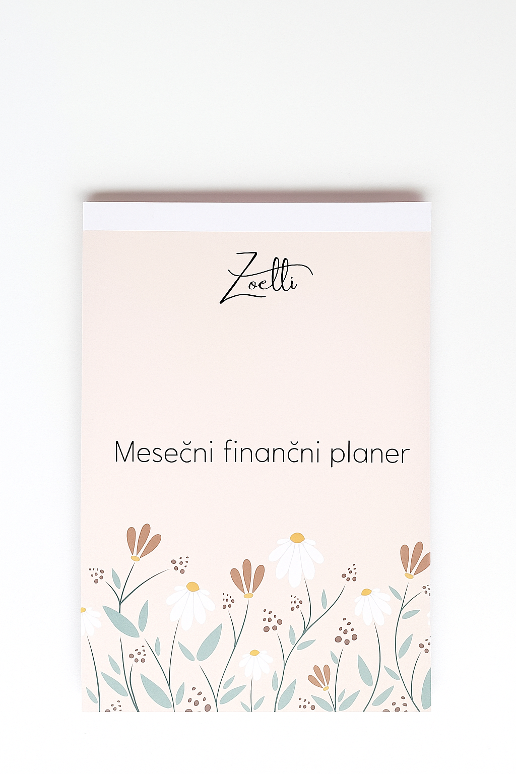 Mesečni finančni planer